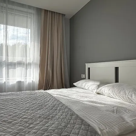 Lazdyneliu Vingis Vilnius 