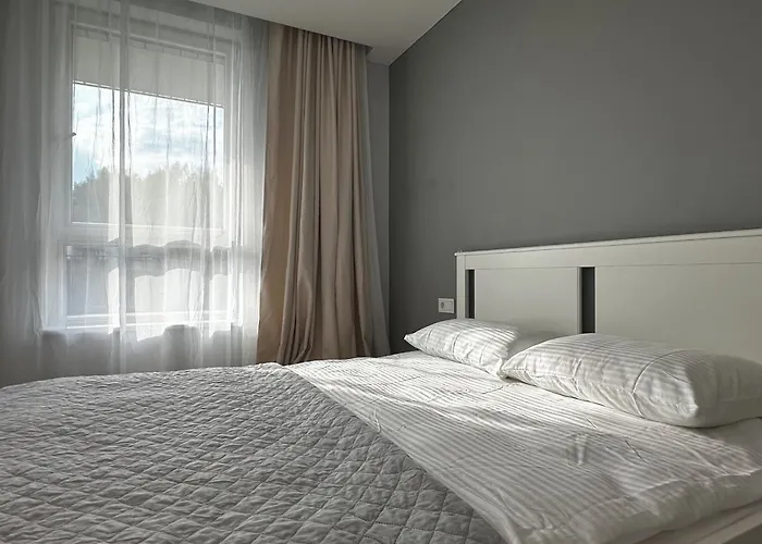 Lazdyneliu Vingis Vilnius \